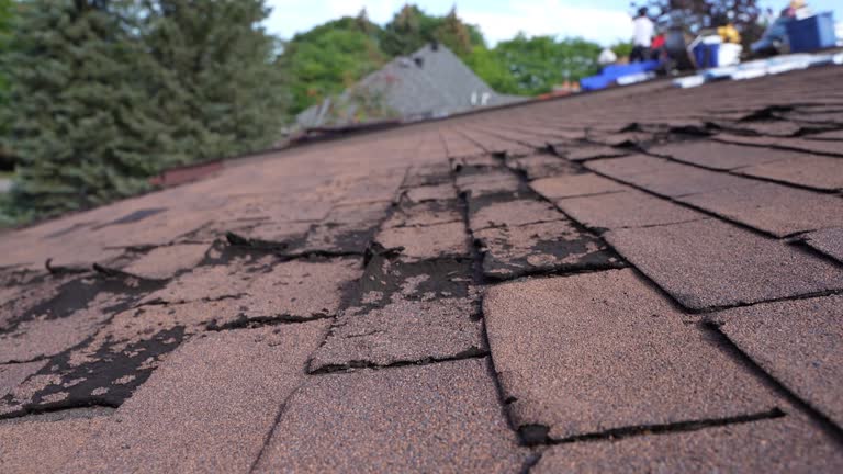 Best Roof Leak Repair  in Woodsfield, OH